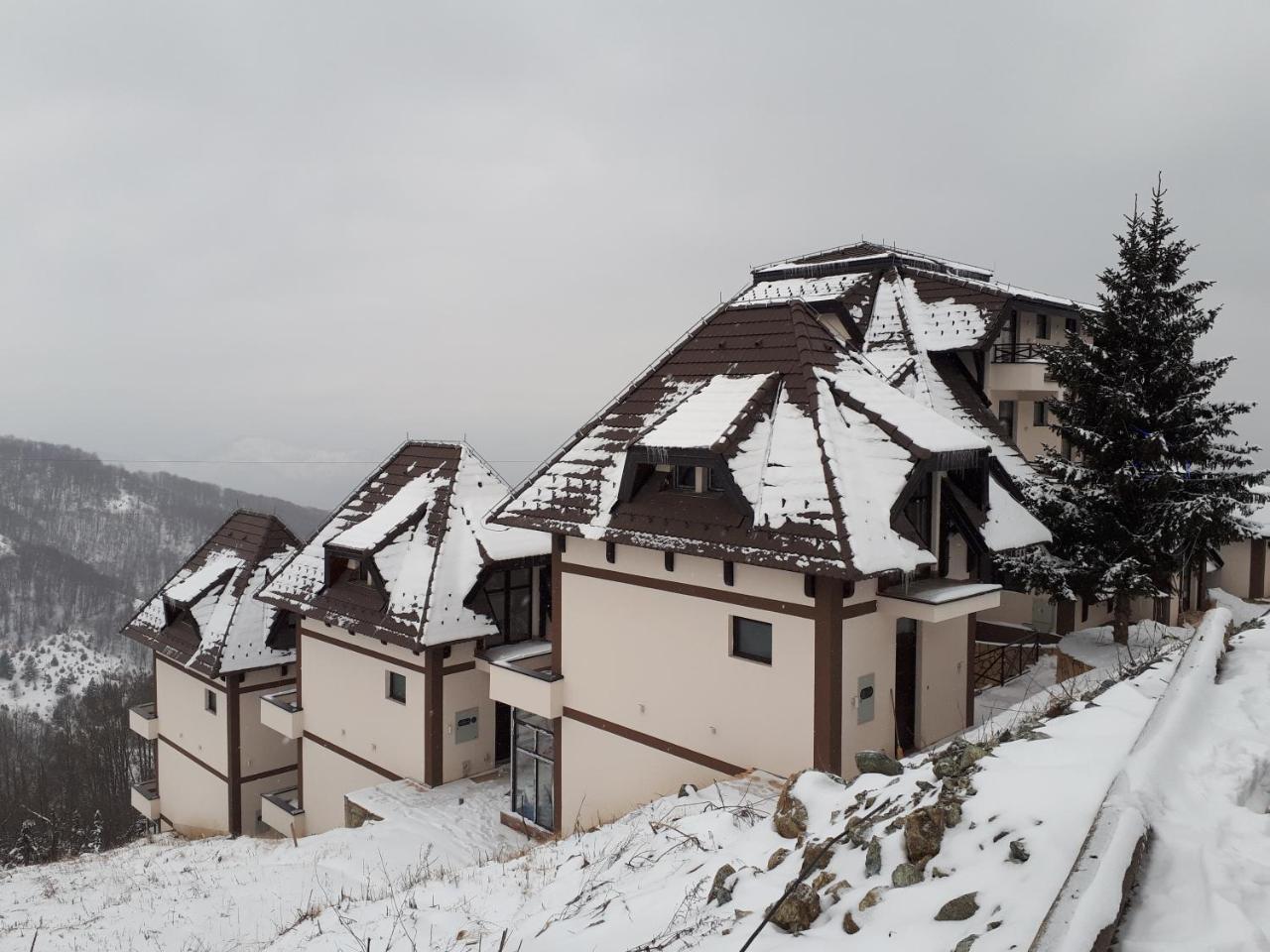 Apartman Andjela Kopaonik Zewnętrze zdjęcie