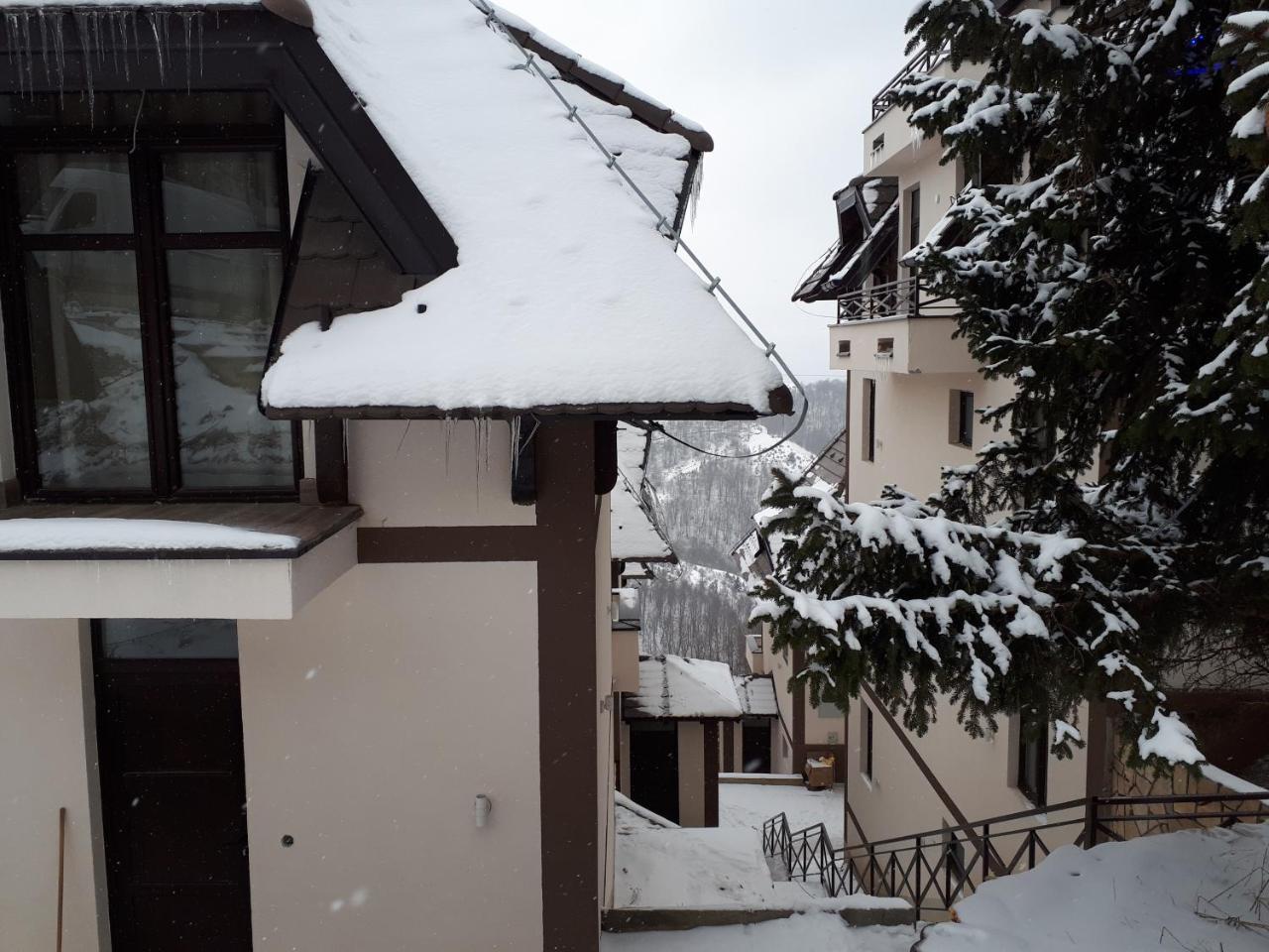 Apartman Andjela Kopaonik Zewnętrze zdjęcie